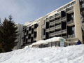 FLAINE