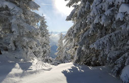 R&eacute;sidence Les Terrasses du Lac