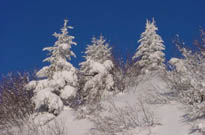 SKI COMPAGNIE