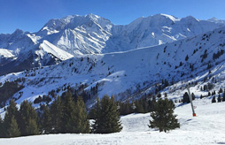R&eacute;sidence Les Ch&acirc;lets du Berger****