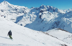 R&eacute;sidences Les Ch&acirc;taigners et Le Genepi