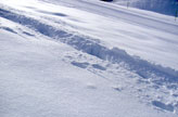 Location ski Jura