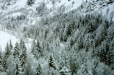 Location ski Pralognan Location ski Pralognan