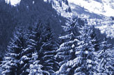 Location ski Mars