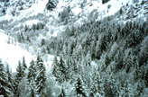 Location ski Noel