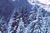 Station ski Vosges