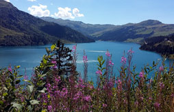 Park & Suites Evian-Lugrin