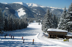 Camping La Steniole *