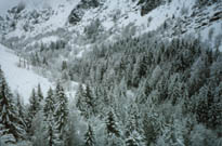 Ski tout compris 10 janvier 2026