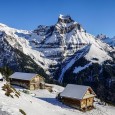 winter-gbfe3c0a82_640
