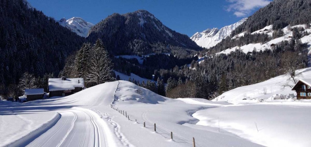 Piste de ski de fond via Flickr : Flo .