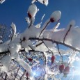 alerte neige