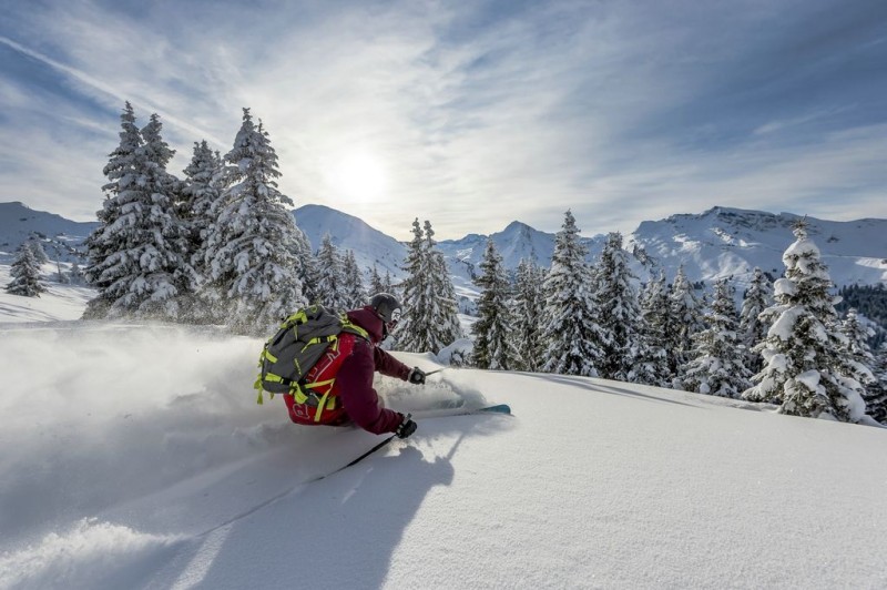 ski--chatel-portes-du-soleil