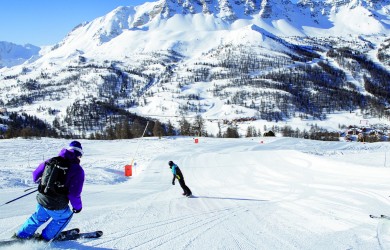 vars-foret-blanche