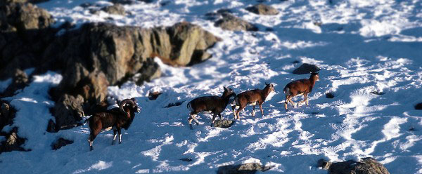 Crédit Photo : ubaye-aventure