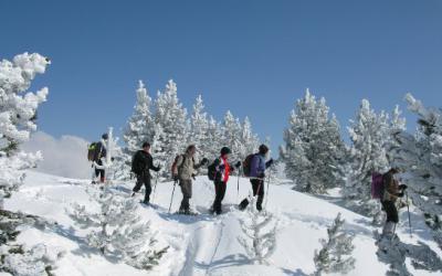 Vacances au ski à Noël