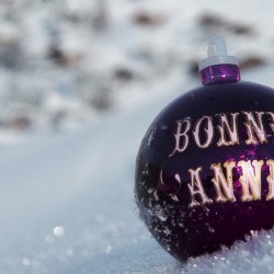 Bons plans nouvel an par Ski Express