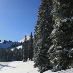 Chtel, le ski sur le domaine des Portes du Soleil