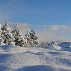 Top destinations pour partir dans un chalet au ski